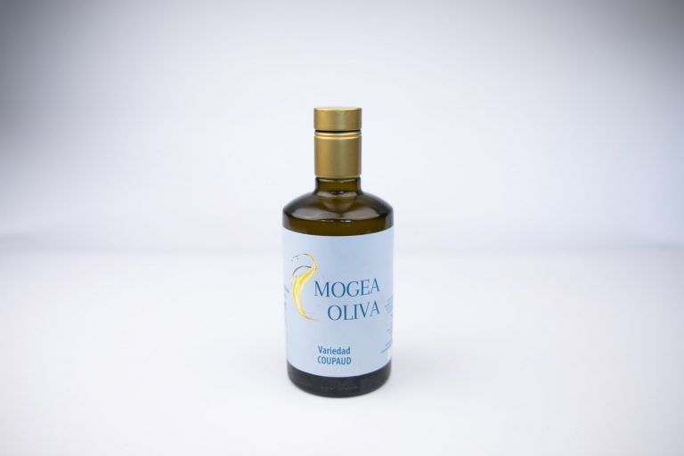 MogeaOliva-Coupaud